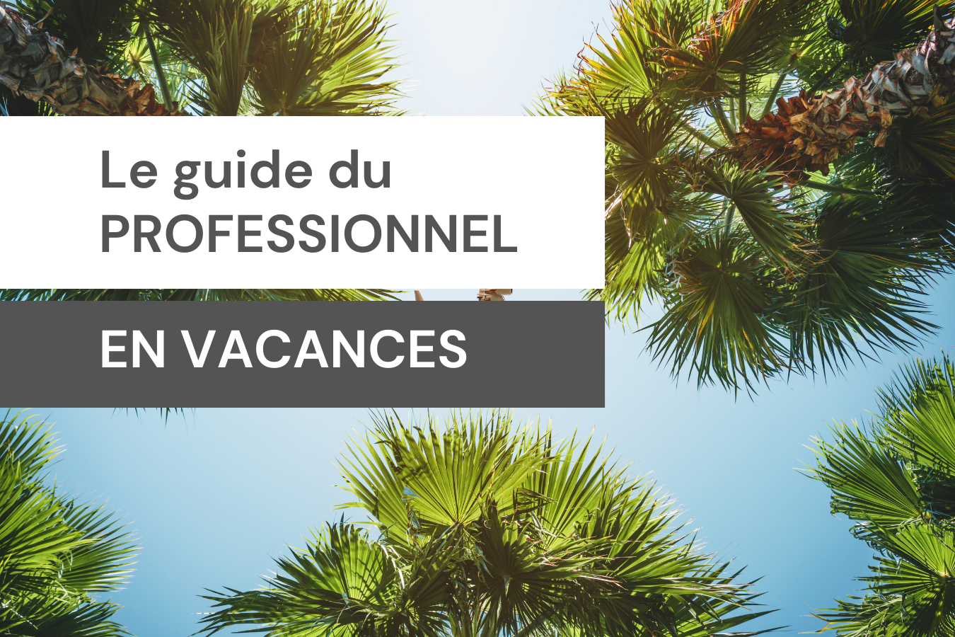 Le guide du professionnel en vacances